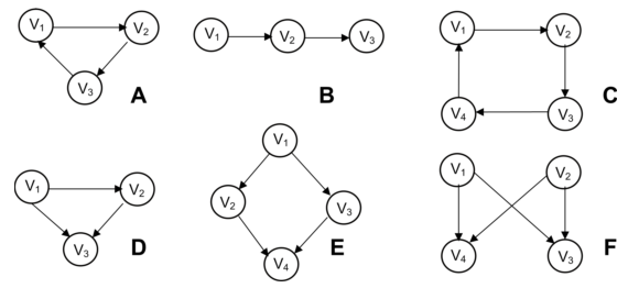 network motifs