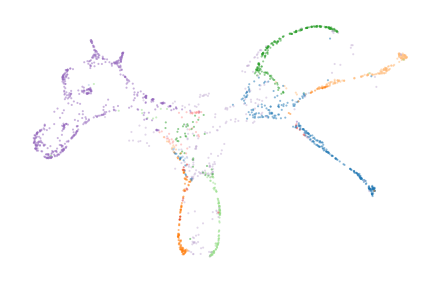 _images/Horse_Bifiltration_17_1.png