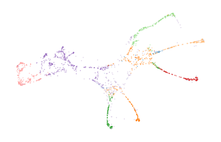 _images/Horse_Bifiltration_18_1.png