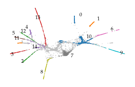 _images/Example_single_cell_trajectory_18_0.png